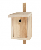 Bird house